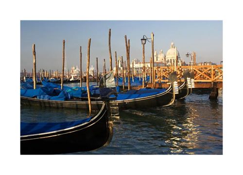 Gondolas & Santa Maria Della Salute,  Venice.