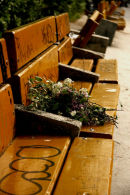 Flowers on a bench, Budapest
