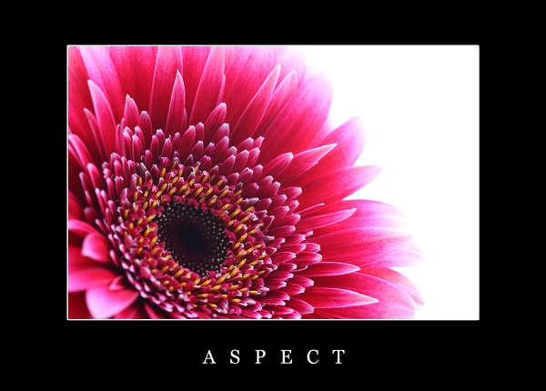 Aspect