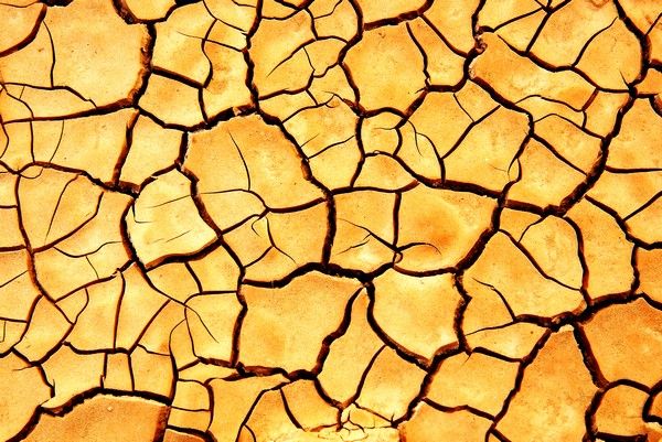 Cracked Earth