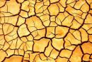 Cracked Earth