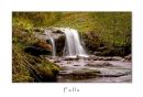 Falls