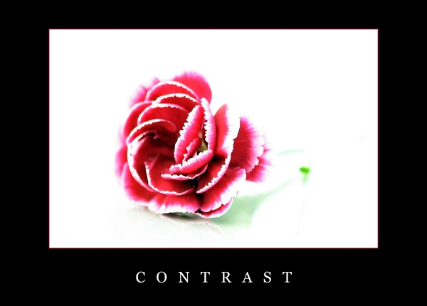 Contrast