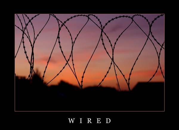 Wired