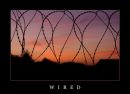 Wired