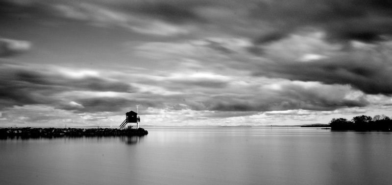 Bird Hide