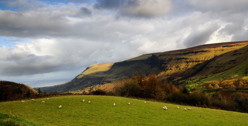 Glenariff Forest