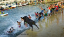 Bulls to the Sea festival Denia July 2011