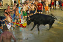 Bulls to the Sea festival Denia July 2011