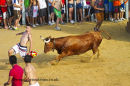 Bulls to the Sea festival Denia July 2011