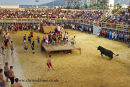 Bulls to the Sea festival Denia July 2011