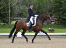 Hickstead Dressage