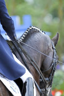 Jill Timms & Rebel - Hickstead Dressage