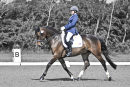 Jess Gale - Hickstead Dressage