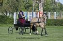 Balanced Horse Feeds Driving Show - Pachesham