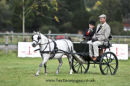 Balanced Horse Feeds Driving Show - Pachesham