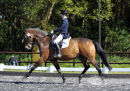 Locarmo ridden by Annie Edwards