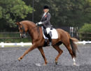 Stallion First Way ridden by Vicki Thompson-Winfield