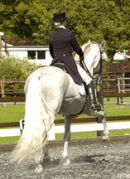Oldencraig Dressage