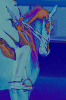 Pop Art 5