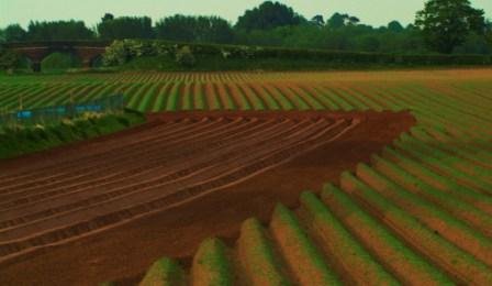 The Artistic Farmer