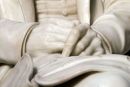Charles Darwin's Hands in Marble