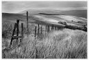 Dales Fence