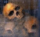 Death Toll
