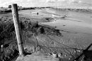 Estuary