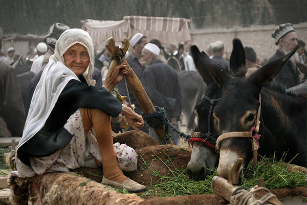 Minding the mules