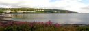 Goodwick no.100