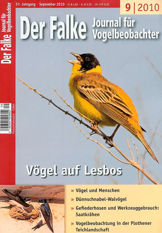 Article text