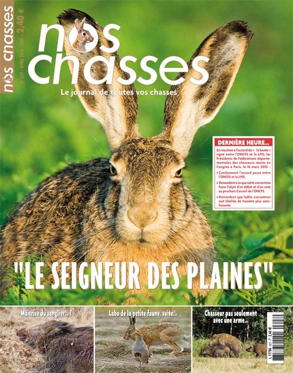 Article text