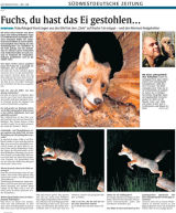 Interview Südwestdeutsche Zeitung
