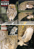 Fotostory...