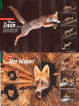 "Jäger-Magazin" Fotostory