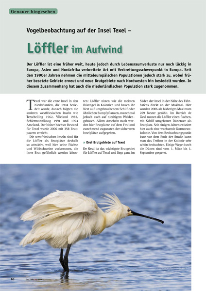 Article text
