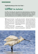 Artikel