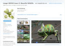 Die erste imagebroker App für das iPad ist online!