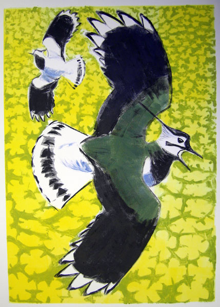 Lapwings and Marsh Marigolds