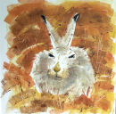 Mountain Hare