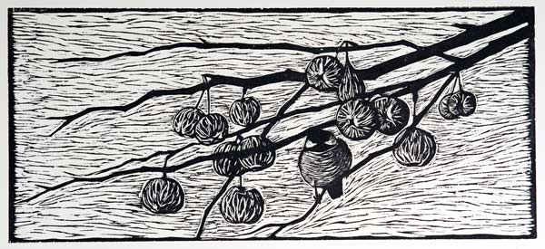 Chickadee and winter apples