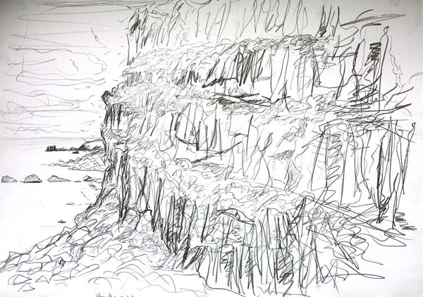 Seabird Cliffs