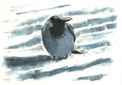 Crow in Snow