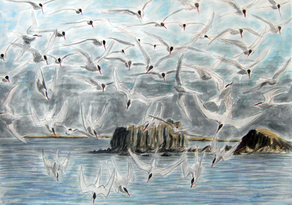 Feeding frenzy at Norby