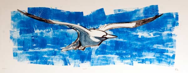 Flying Gannet