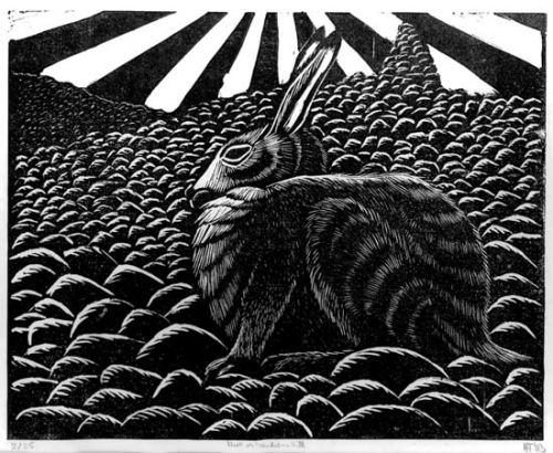 Winter Hare on Sandness Hill