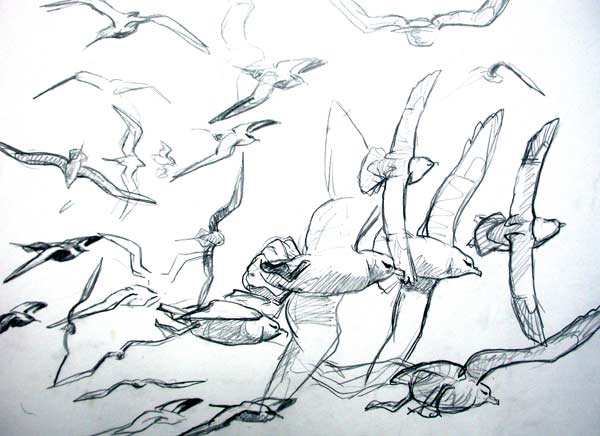 Fulmars and Arctic skuas