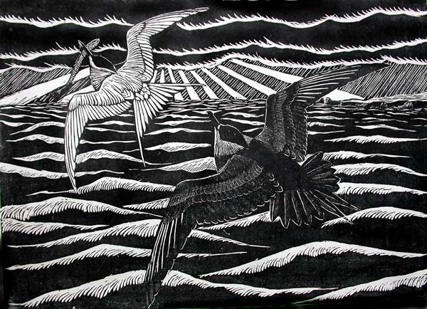 Skua and tern