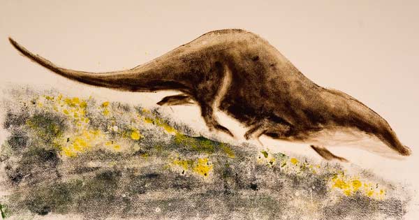 Walking Otter
